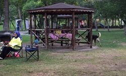 Can dostlar mesire alanında da yalnız bırakmıyorlar