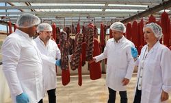 Sivas pastırması yıllık denetimde