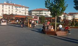 Sivas'ta meydanın tek ağacı sığınma alanı