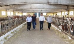 Sivas Tarım Müdürü'nden Kabasakal ziyareti