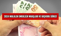 2024 Malulen Emeklilik Maaşları ve Başvuru Süreci