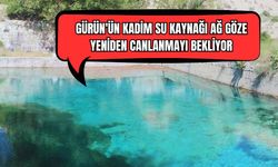 Gürün'ün Kadim Su Kaynağı Ağ Göze Yeniden Canlanmayı Bekliyor