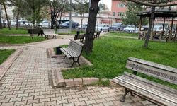 Hastane park alanı düzenlenme için neyi bekliyor