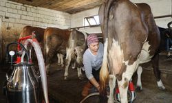 Kadın başına 20 büyükbaş hayvana bakyor