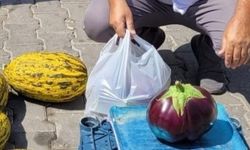 Karpuz gibi patlıcan