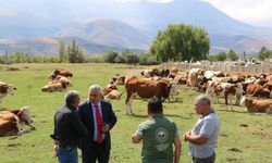 Mera Islah Projeleri incelendi