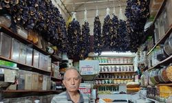 Sebzeler kış için kurutuldu