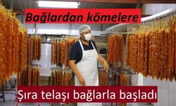 Şıra telaşı bağlarla başladı