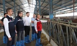 Sivas Gemerek'te tarım incelemesi