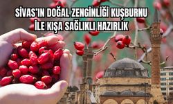 Sivas'ın Doğal Zenginliği Kuşburnu ile Kışa Sağlıklı Hazırlık