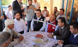Sivas'ta antep fıstığı hasadı yapıldı