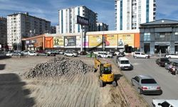 Sivas'ta boş alan aslına dönüyor