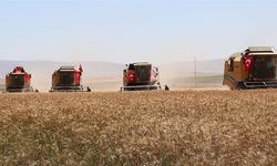 Sivas'ta desteklemeler başladı