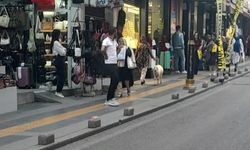 Sivas'ta kınalı kuzusuyla alışverişte