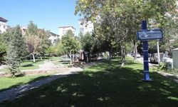 Sivas'ta parklara aydınlatma