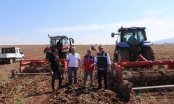 Sivas'ta patates tohum denetimi