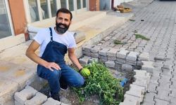 Sivas'ta yol ortasında yetişti