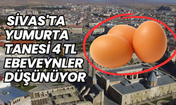 Sivas'ta yumurta tanesi 4 TL, ebeveynler düşünüyor
