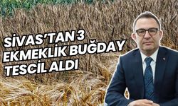 Sivas'tan 3 ekmeklik buğday tescil aldı