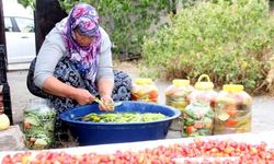 Turşu mesaisinde son günler