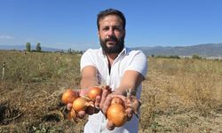 500 ton soğanı ücretsiz dağıttı