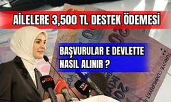 Ailelere 3,500 TL Destek Ödemesi Nasıl Alınır !