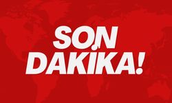 Arkadaş vahşeti 2 ölü !