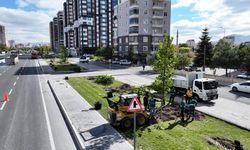 Gelecek için ağaç kampanyası