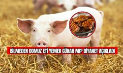 Bilmeden Domuz Eti Yemek Günah mı? Diyanet Açıkladı