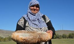 Bu peynir işkembeye dolduruluyor