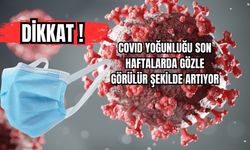 COVID Yoğunluğu Son Haftalarda Gözle Görülür Şekilde Artıyor