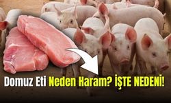 Domuz Eti'nin Sağlık Üzerindeki Zararları, Domuz Eti İslam'a Göre Neden Haram?