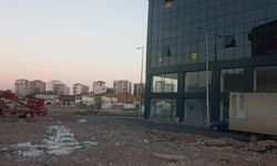 Eski sanayide sıra arkadaki yıkıntılarda