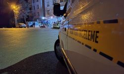 Ev kavgasında dayısını öldürdü