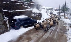Dağda mahsur kalan çobanlar kurtarıldı