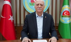 Havuçta kar enflasyonu