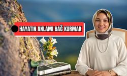 Hayatın anlamı bağ kurmak 