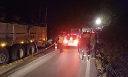 Kamyondan düşen tomrukların altında kaldı