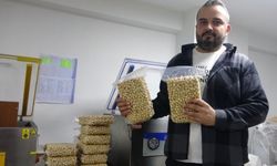 Karadeniz'de Fındık Devrimi Yerel İşletmelerle Katma Değer Artıyor