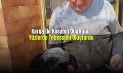  Karga İle Kasabın Dostluğu Yüzlerde Tebessüm Oluşturdu 