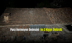  Para Vermeyen Dedesini Ve 2 Kişiyi Öldürdü