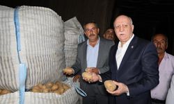 Patatese Devlet müdahalesi istendi
