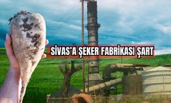 Sivas'a Şeker Fabrikası şart 