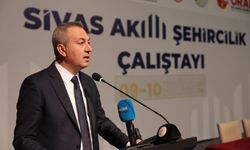 Sivas için yerel kalkınma hamlesi