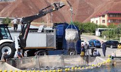 Sivas'ta 100 bin ton somon üretiliyor