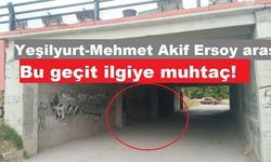 Sivas'ta bu geçit ilgiye muhtaç