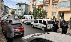Sivas'ta kedi kavgasında hayatını kaybetti