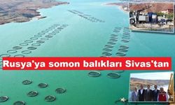 Sivas'tan Rusya'ya somon ihracatı