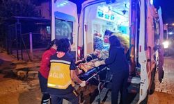 Şizofren Oğlu Ailesini Katletti 2 Ölü, 1 Yaralı
