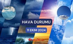 Sonbaharın Serin Gülüşü: Güneşli Bir Cuma Günü